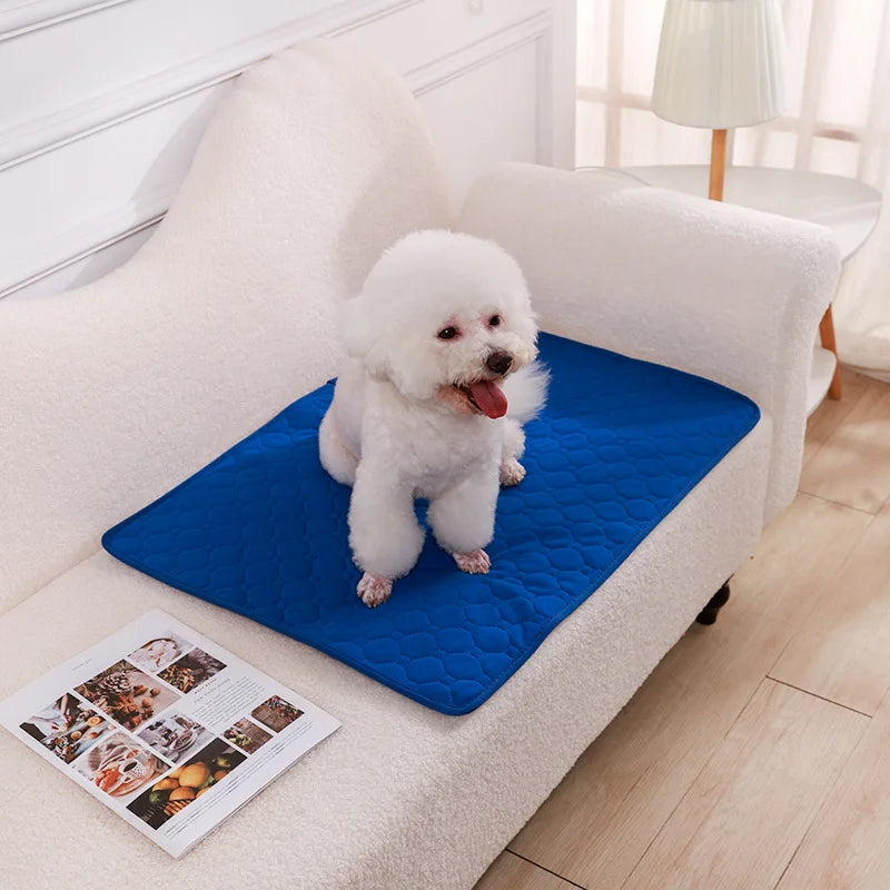 Golden Paws - A Pad Built For All Dogs
