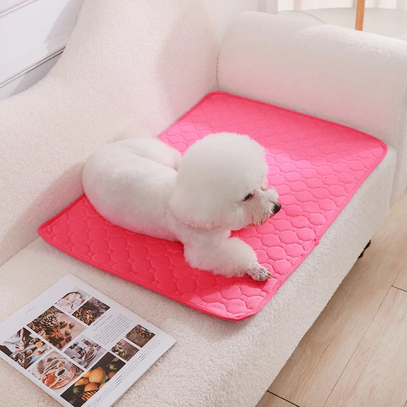Golden Paws - A Pad Built For All Dogs